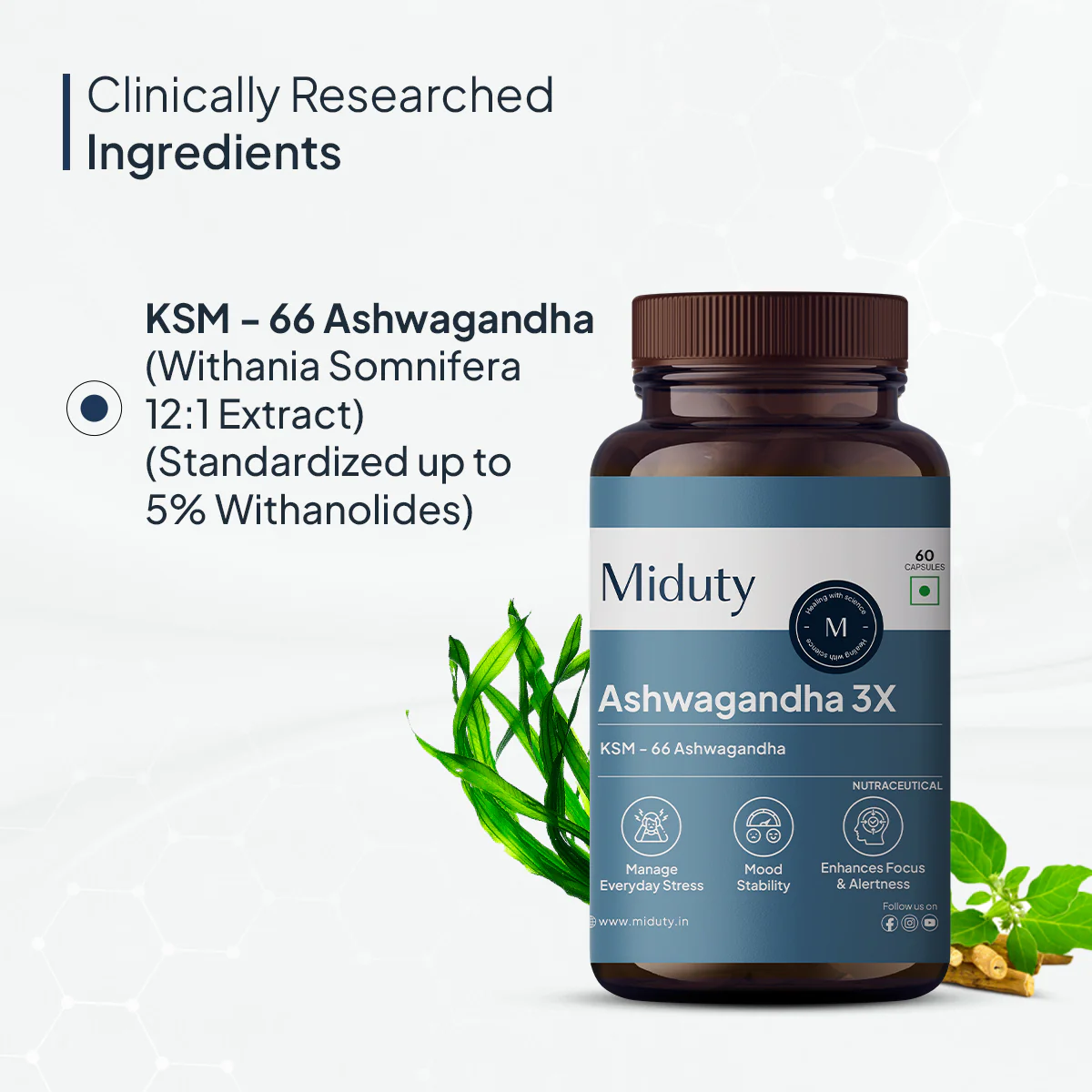KSM - 66 Ashwagandha | Stress, Mood & Stamina Booster Supplement - Image 8