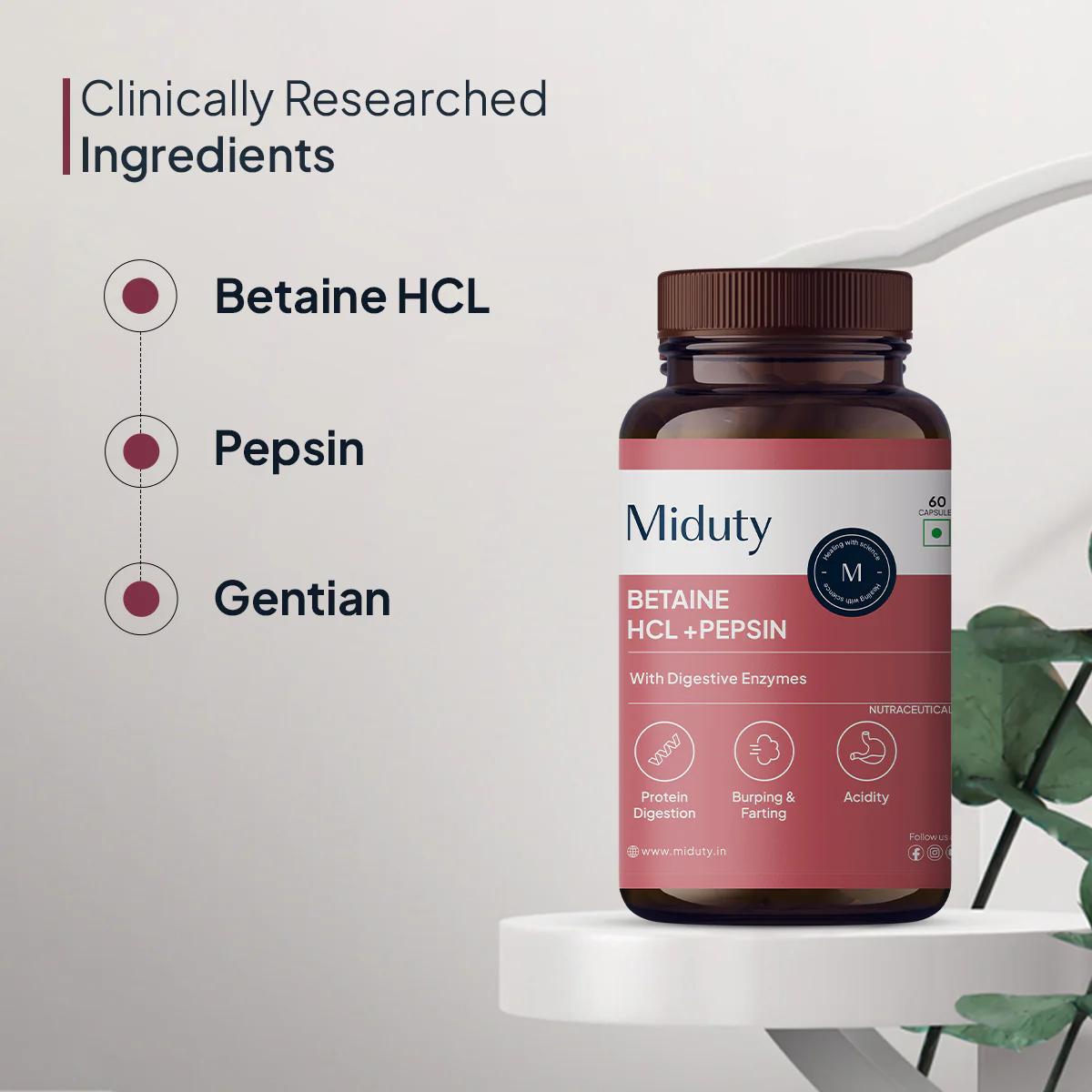 Betaine HCL + Pepsin - Image 5