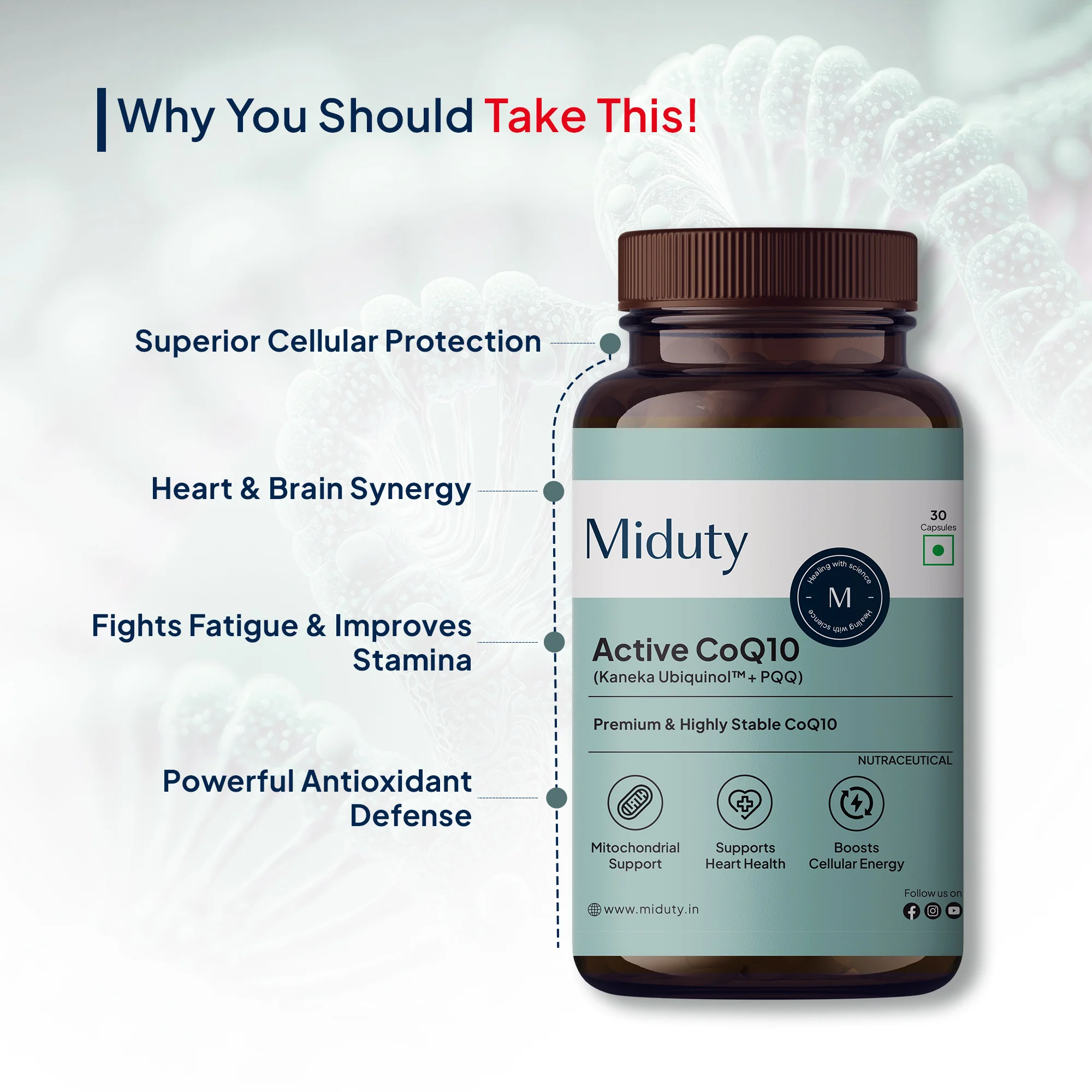 Active CoQ10 - Image 3