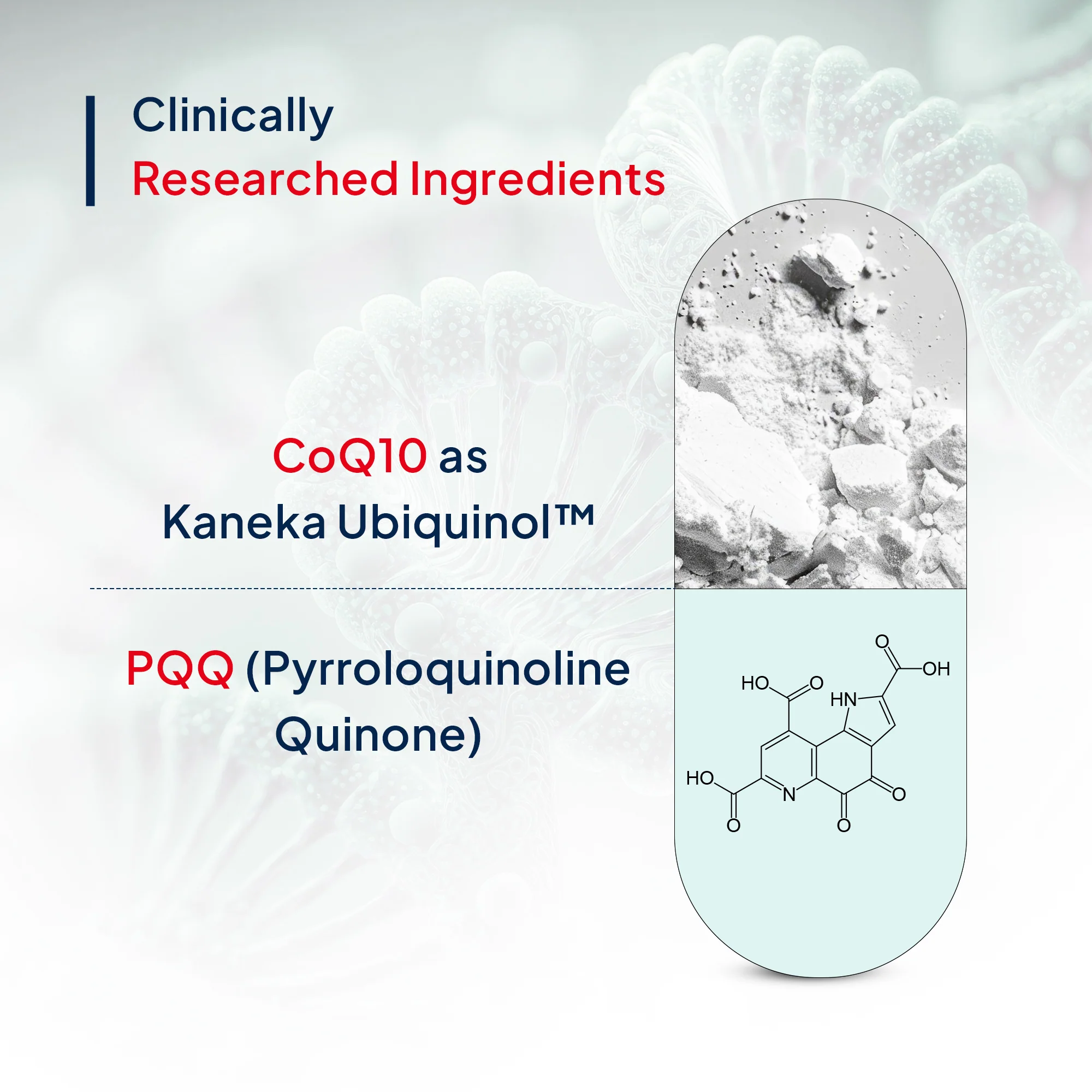 Active CoQ10 - Image 5