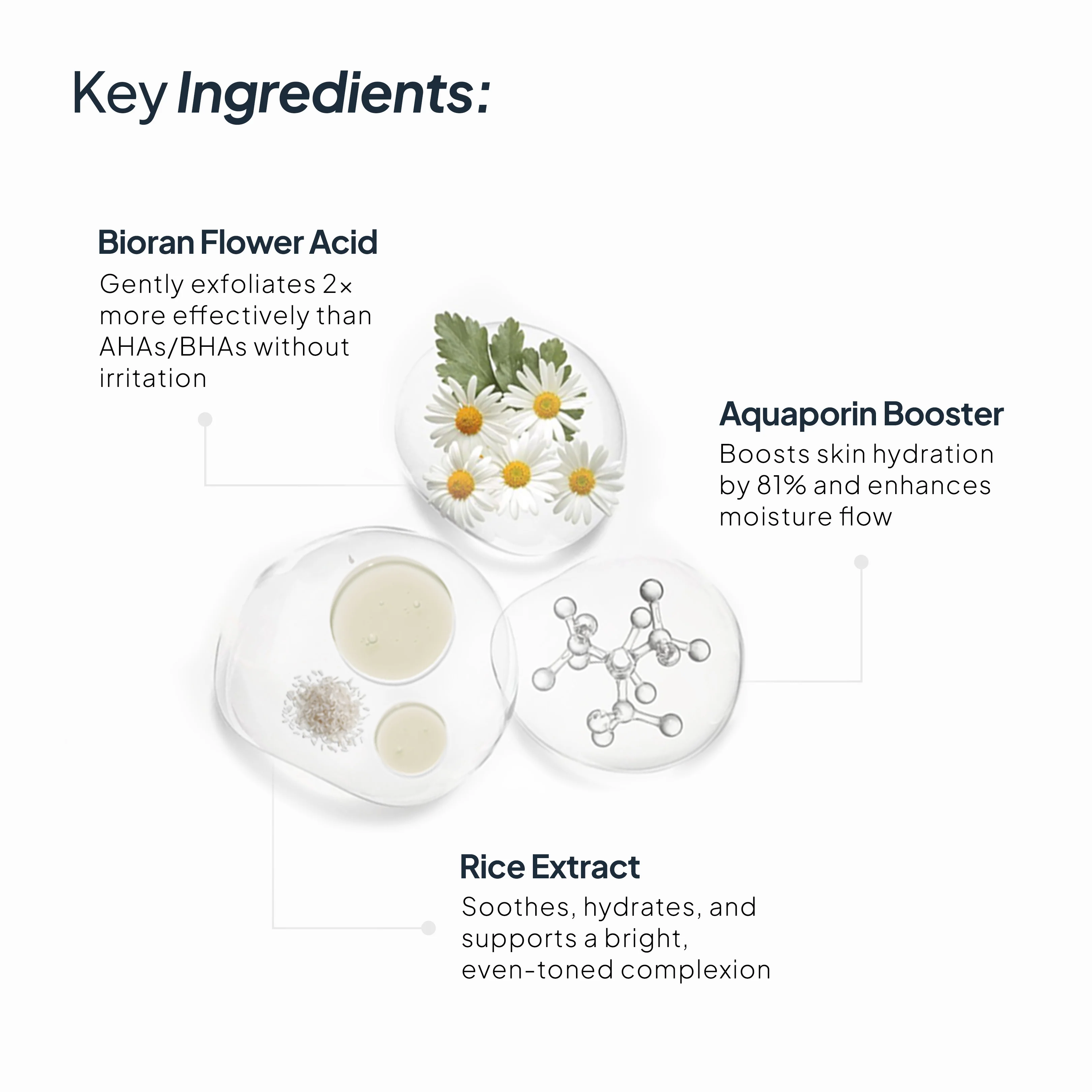 Deep Cleansing Flower Wash (Face Wash) - Image 5