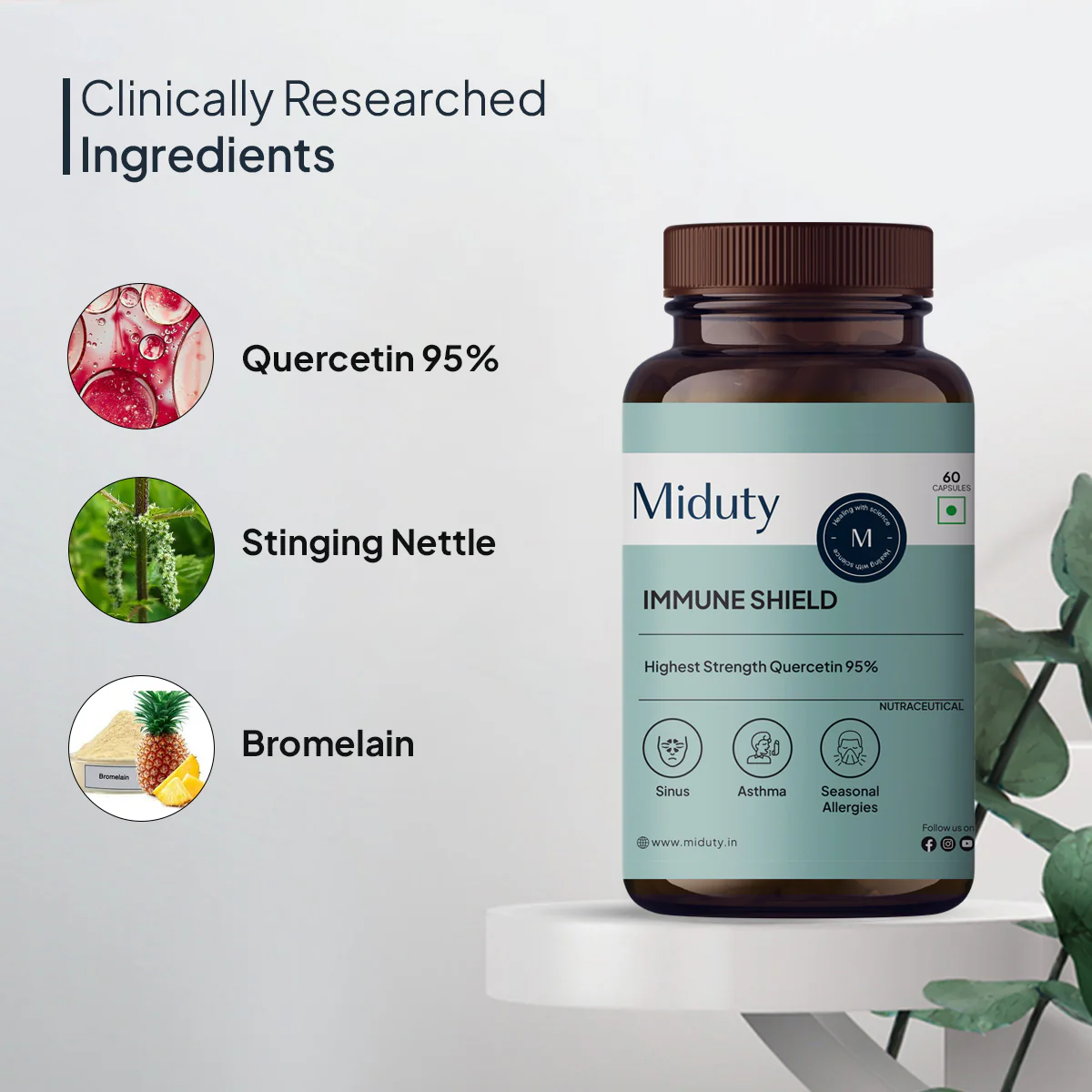 Immune Shield | Quercetin 95% - Image 3