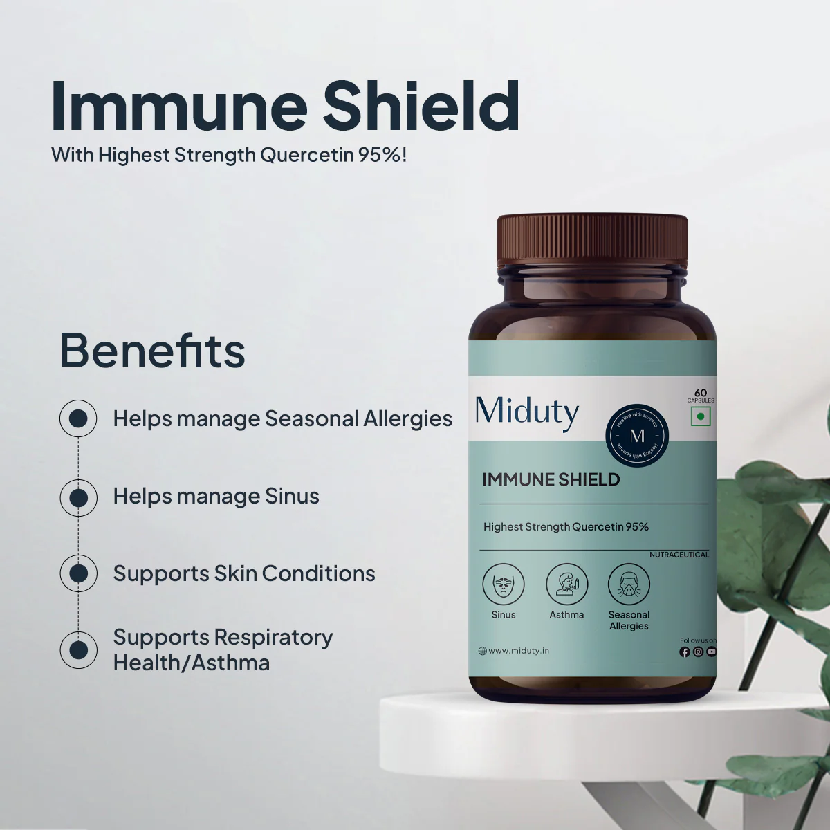 Immune Shield | Quercetin 95% - Image 4