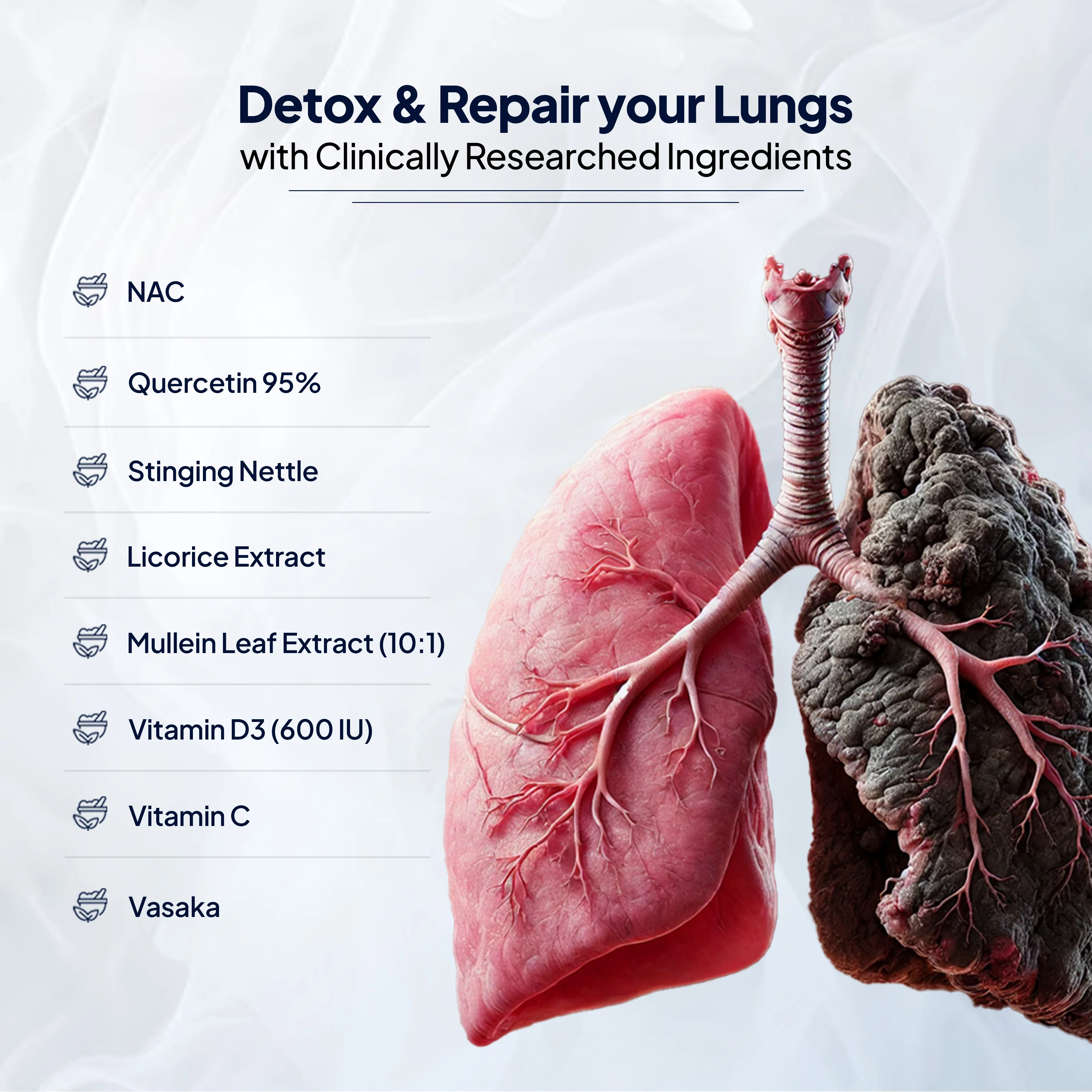 Lung Detox | Lung Cleanse Supplement - Image 13