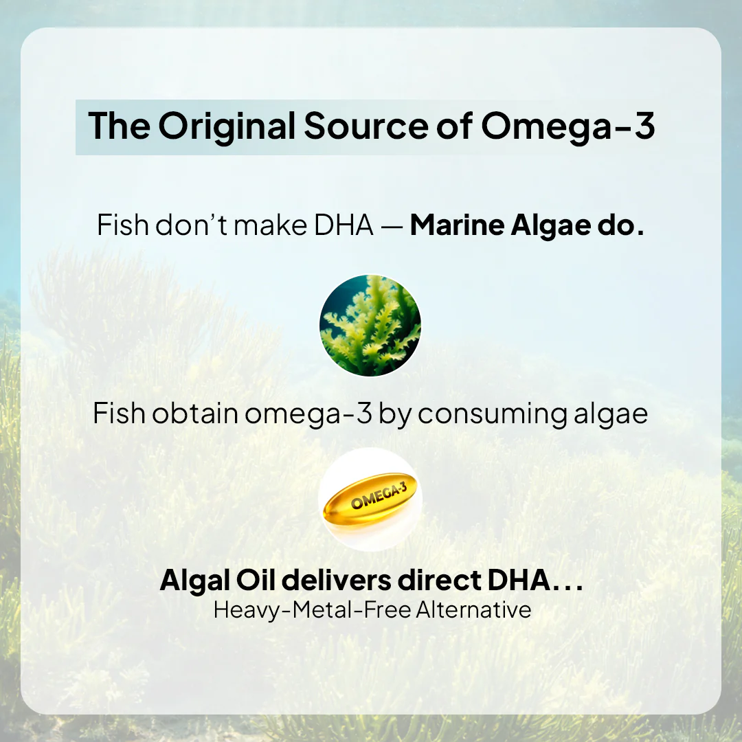 Veg Omega 3 - Image 4