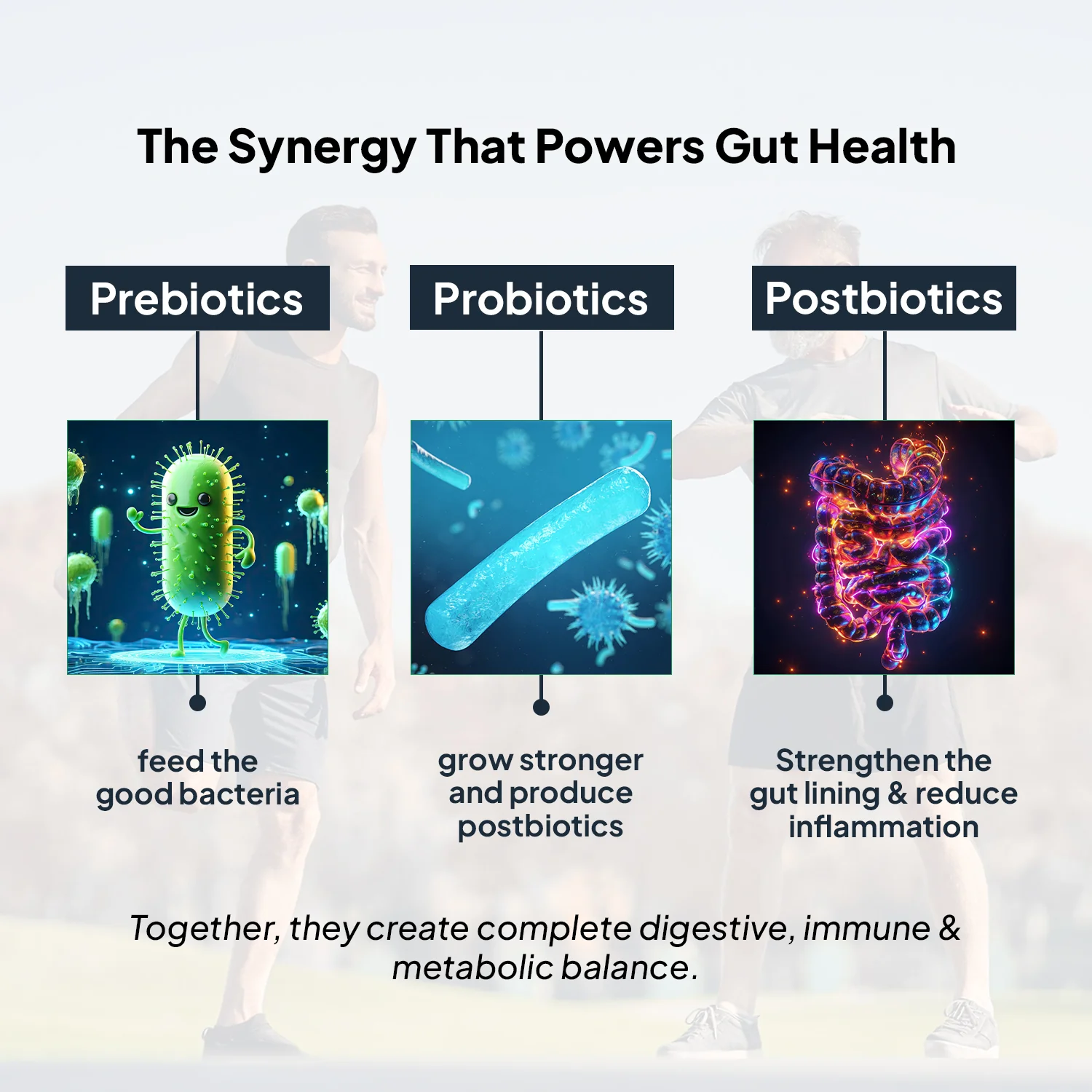 PROBIOTICS+ (For Adults) - Image 9
