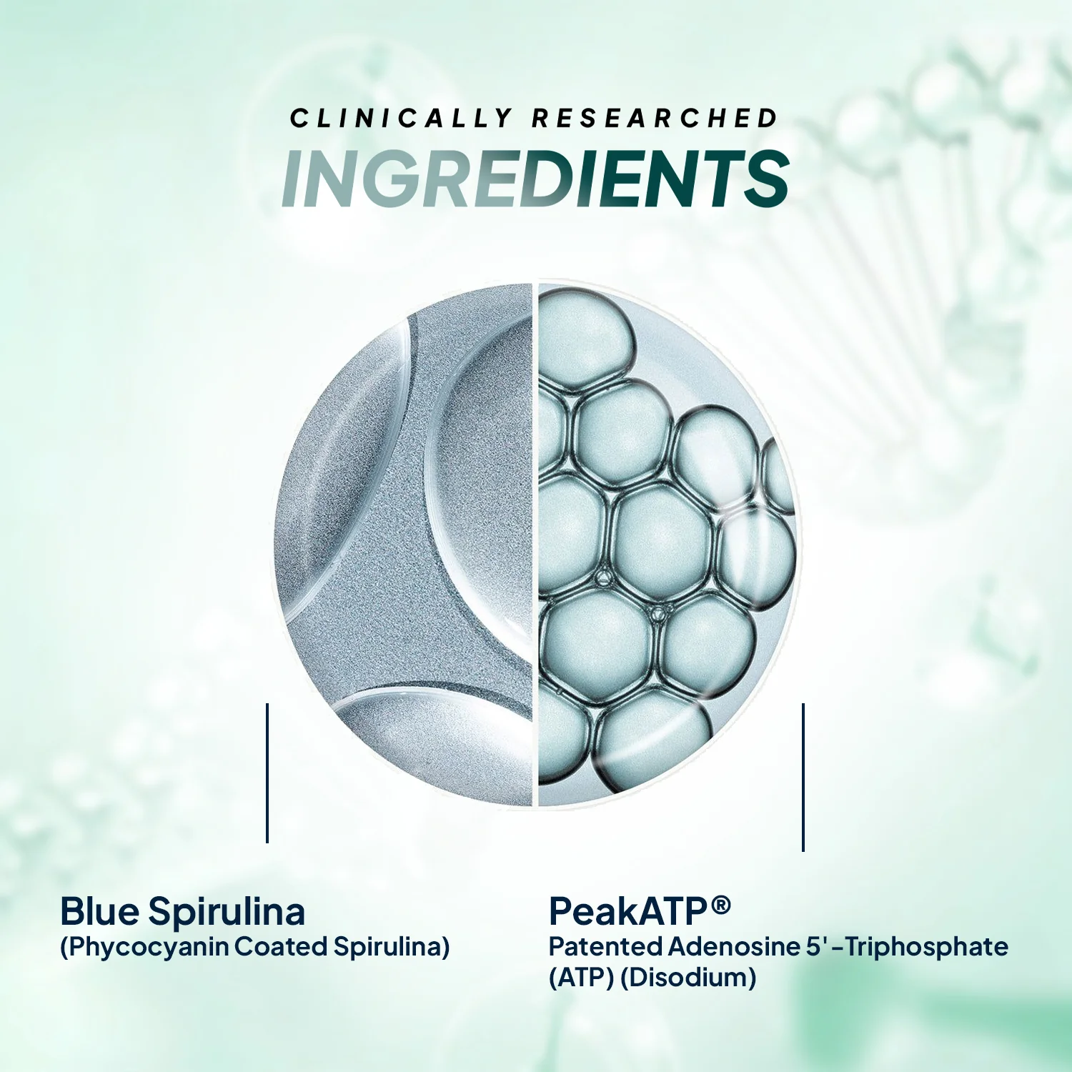 Blue Spirulina + PeakATP® - Image 2