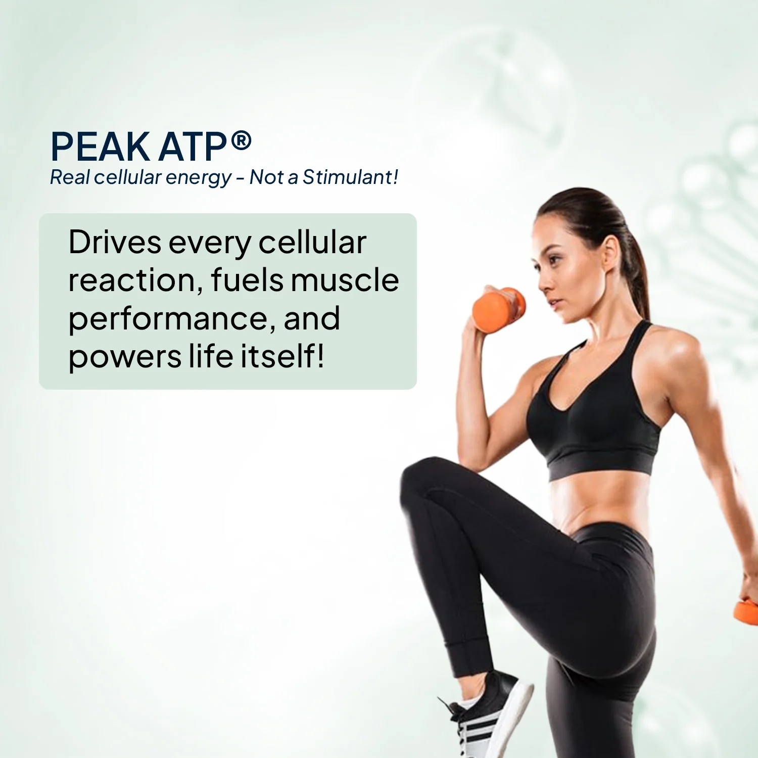 Blue Spirulina + PeakATP® - Image 5