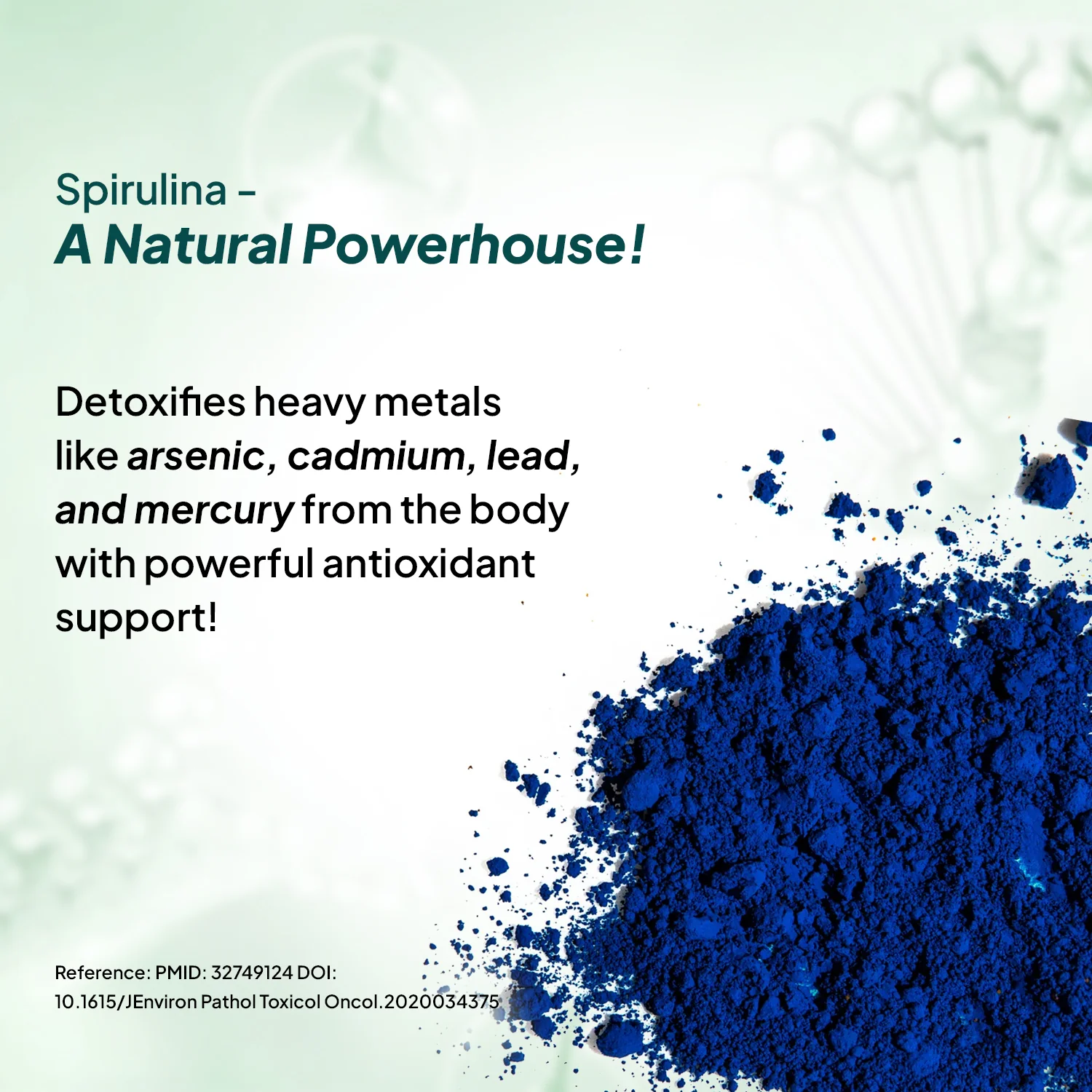 Blue Spirulina + PeakATP® - Image 9