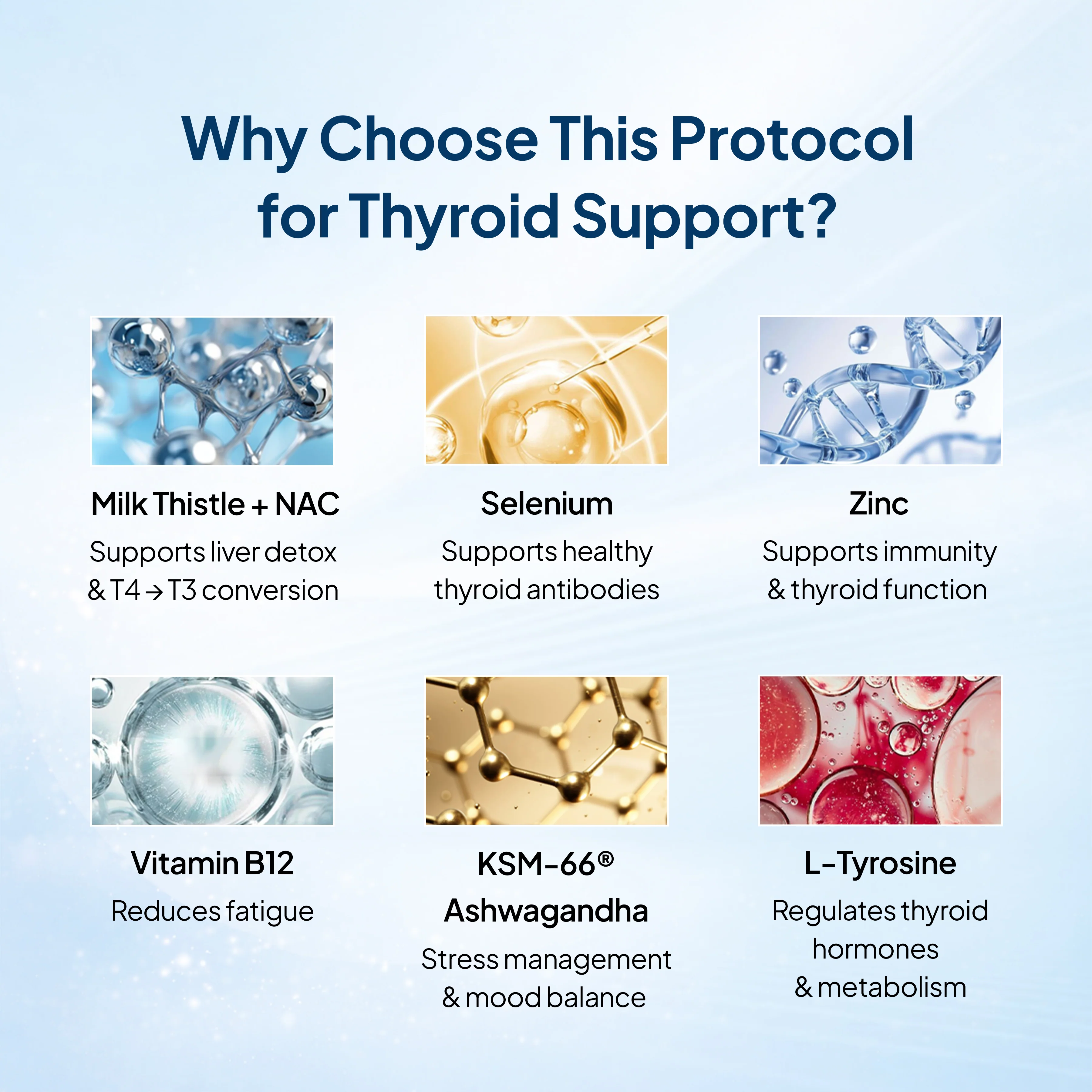Thyroid & Metabolism Reset Protocol - Image 4