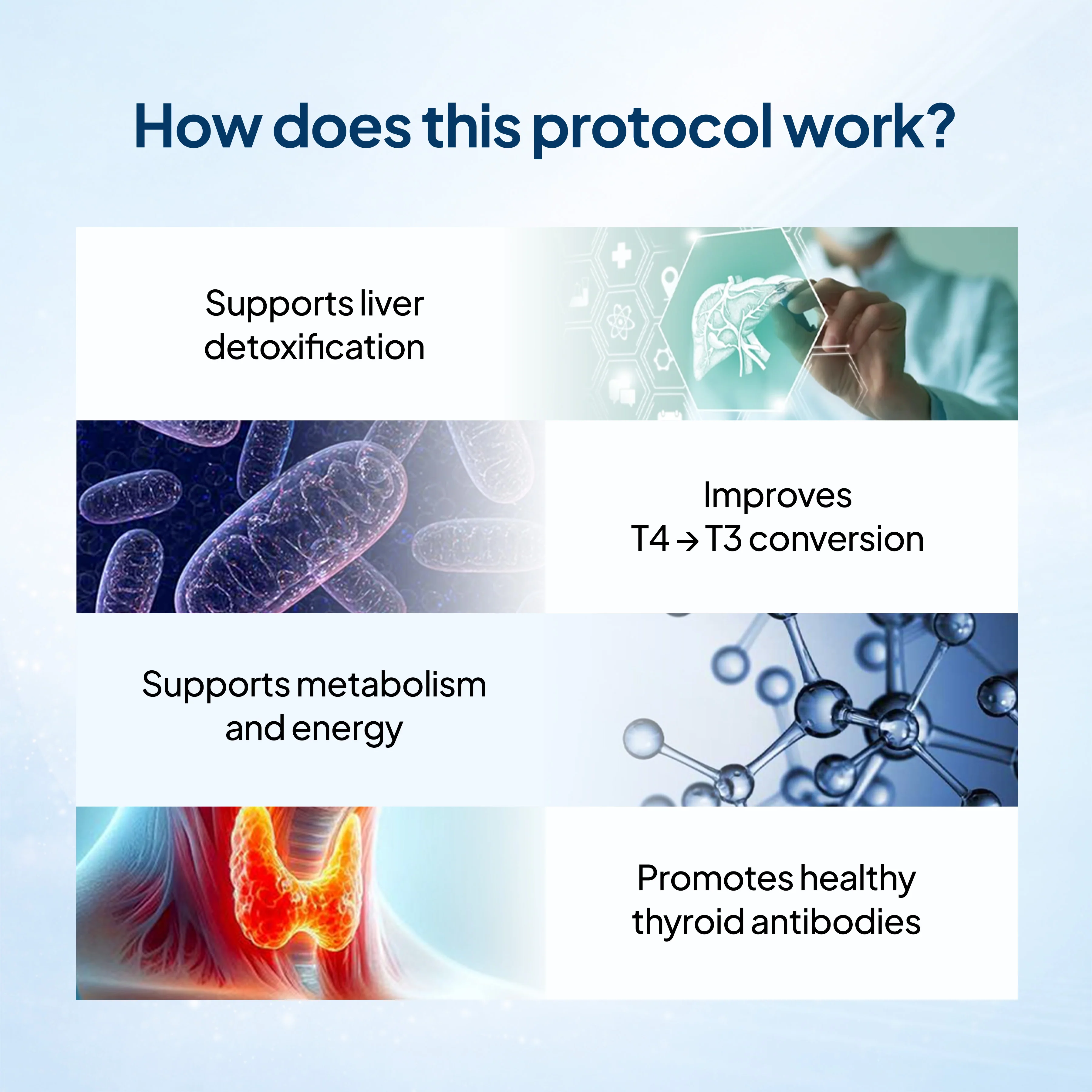 Thyroid & Metabolism Reset Protocol - Image 5