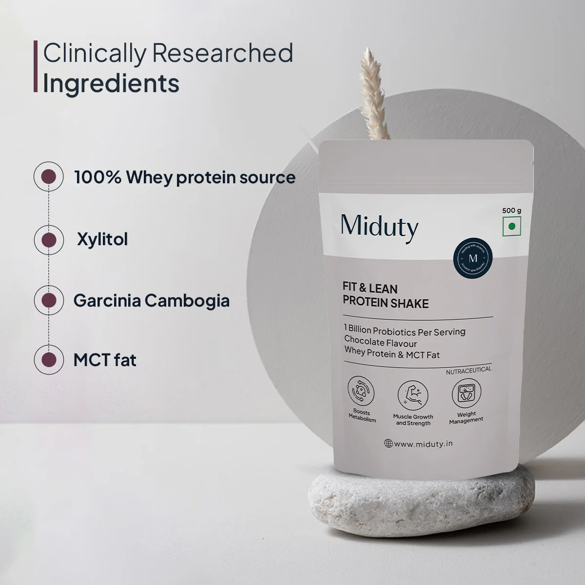 Fit & Lean Protein Shake | Whey Protein Powder - Image 12