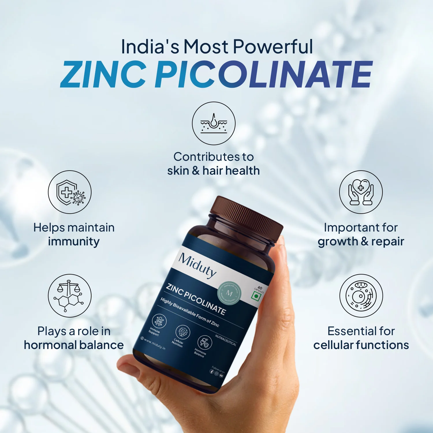 Zinc Picolinate - Image 2