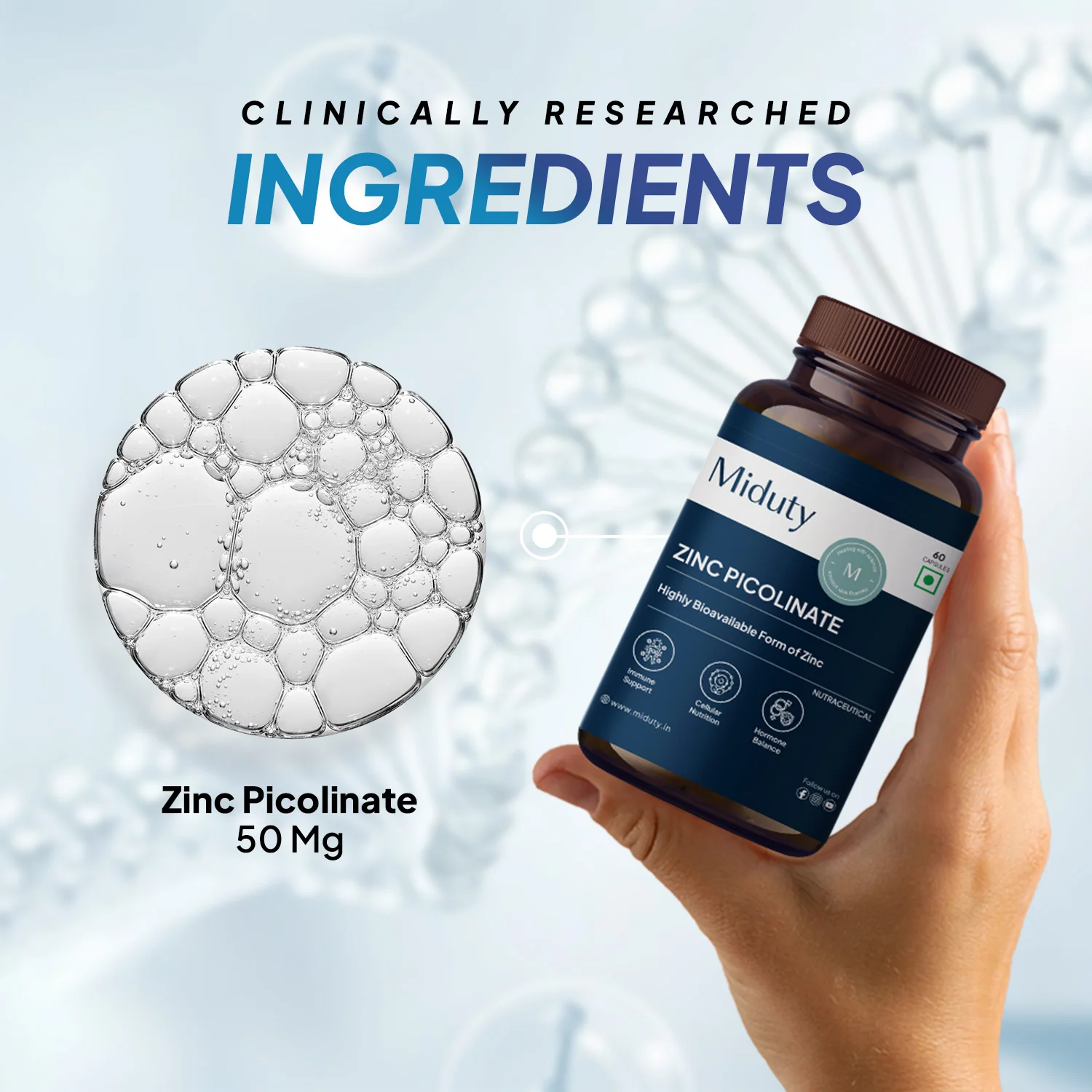 Zinc Picolinate - Image 3
